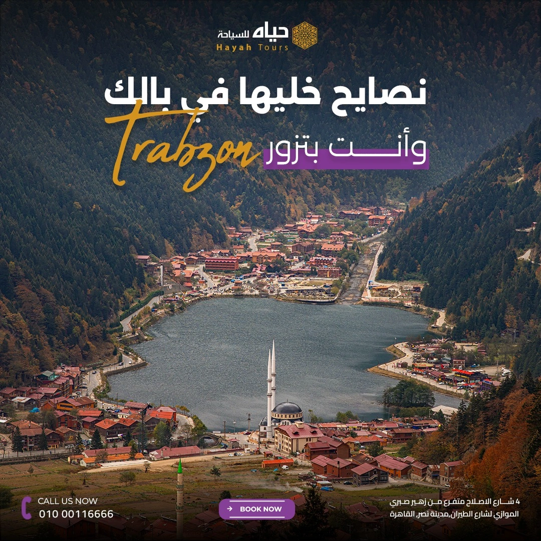 Hayah Company Design 1